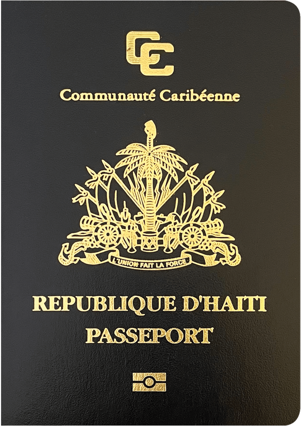 haiti-country-profile-2023-sovereign-man