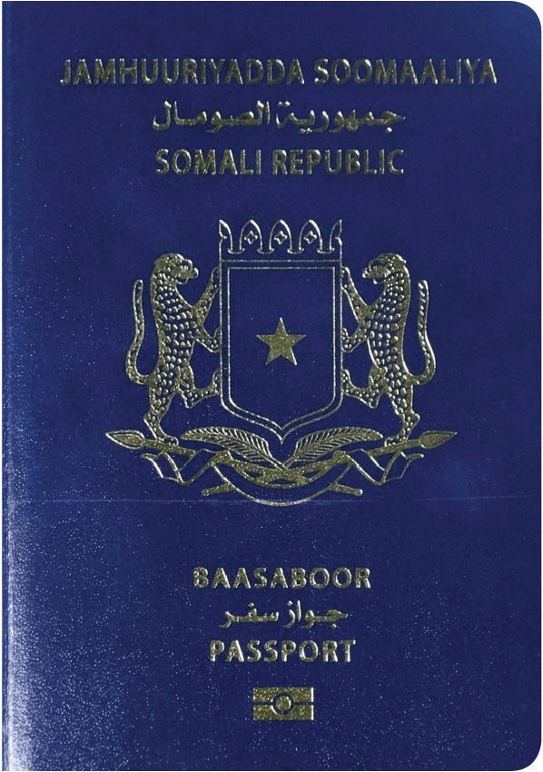 Somalia Country Profile 2023 Sovereign Man