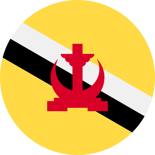 Brunei Country Profile