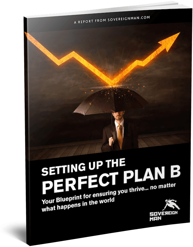 Perfect Plan B Guide